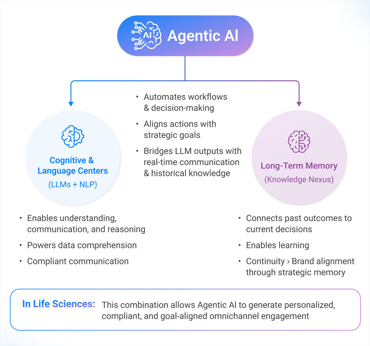A digital infographic titled "What Role Do LLMs and NLP Play in Agentic AI?" features two icons representing brain functions. On the left, a blue brain icon labeled "Cognitive & Language Centers (LLMs + NLP)" is paired with bullet points: "Powers data comprehension, contextual analysis, and compliant communication." On the right, a purple microchip icon labeled "Long-Term Memory (Knowledge Nexus)" is described as: "Enables learning, continuity, and brand alignment through strategic memory." A central box connects both with the text: “Together, LLMs/NLP and the Knowledge Nexus form the brain of Agentic AI—one understands the now, the other remembers the past.” At the bottom, a callout reads: "In Life Sciences: This combination powers real-time learning in Agentic AI, enabling personalized, compliant, and goal-aligned omnichannel engagement."